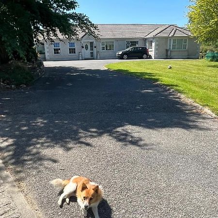 Graiguenamanagh Homestay Екстер'єр фото